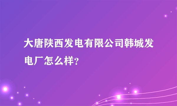 大唐陕西发电有限公司韩城发电厂怎么样？