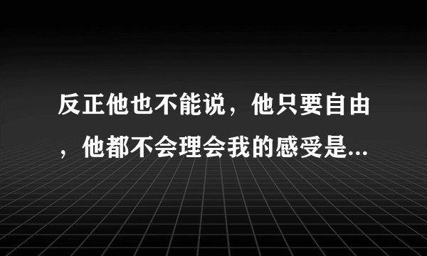 反正他也不能说，他只要自由，他都不会理会我的感受是那首歌的词？
