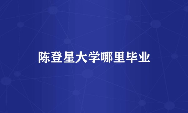 陈登星大学哪里毕业