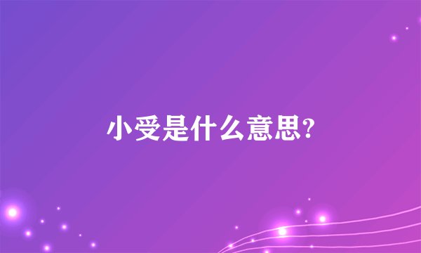 小受是什么意思?