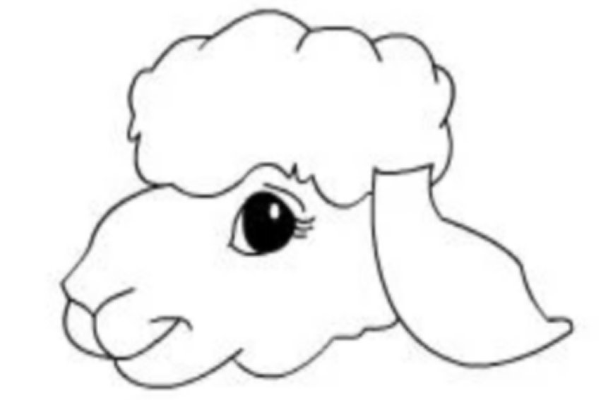 小羊怎么画简单又漂亮又可爱