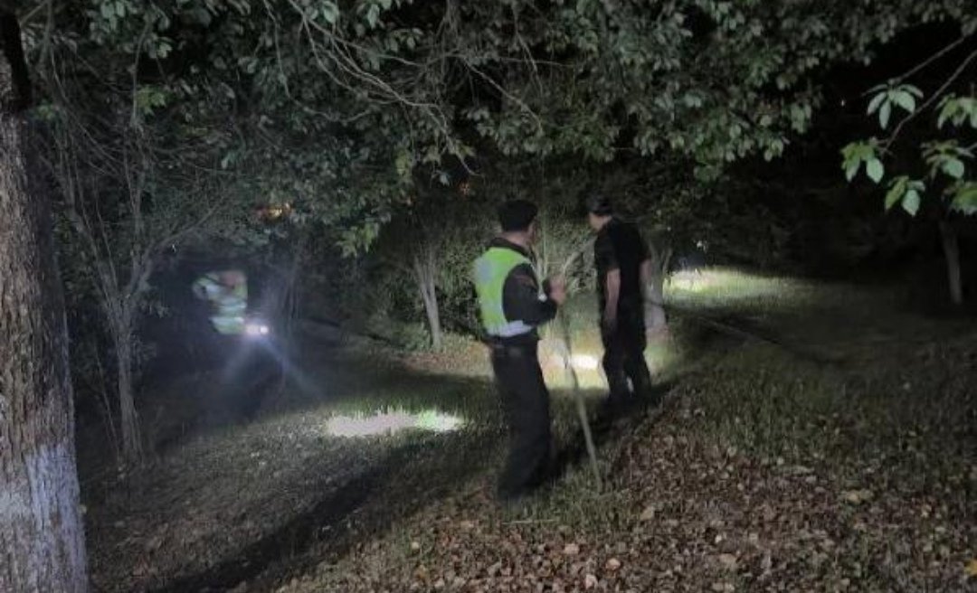 外逃金钱豹曾与狗短暂纠缠,随后纵身一跃跳墙离去,金钱豹是否受伤了?