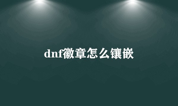 dnf徽章怎么镶嵌