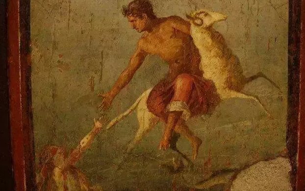 《金羊毛的故事》的简单概括