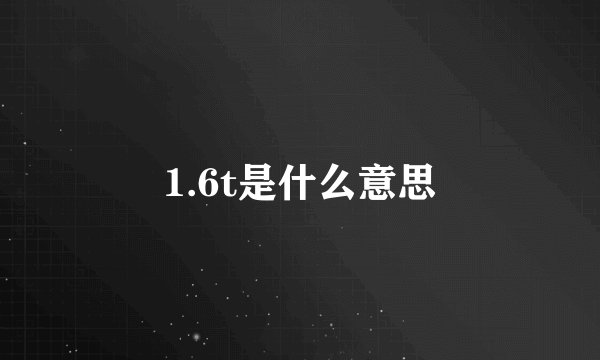 1.6t是什么意思