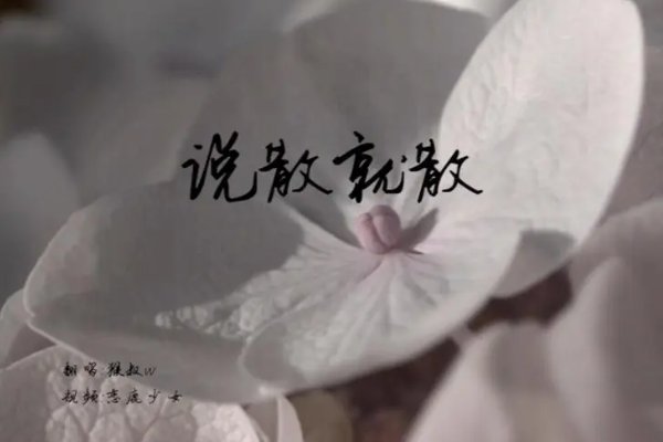 手机铃声最好听的十首