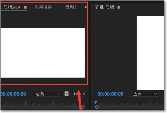 pr九尾狐正能量版2.1怎么用？