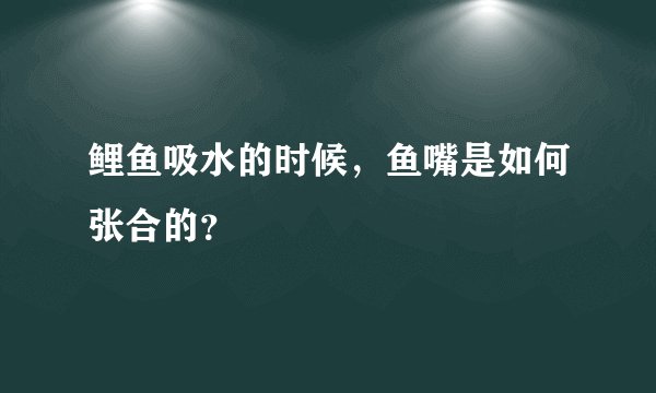 鲤鱼吸水的时候，鱼嘴是如何张合的？