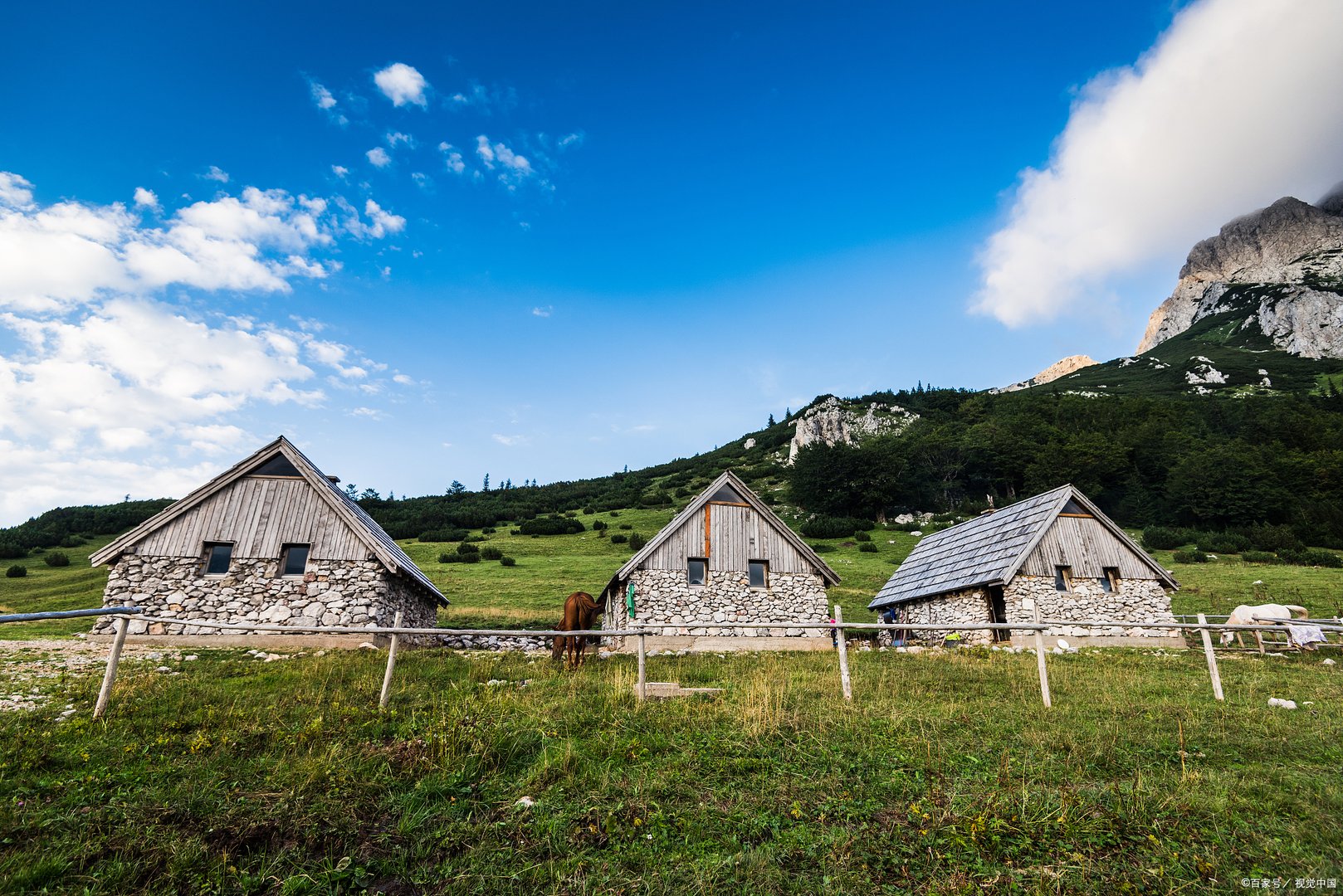 电影《你的世界如果没有我》主要讲述了什么？