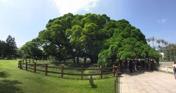 去福州森林公园坐那几路车能到？