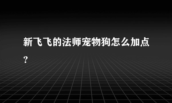 新飞飞的法师宠物狗怎么加点？