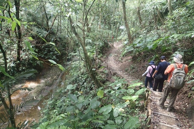 4名经验丰富的地质人员为什么会迷失在哀牢山中？