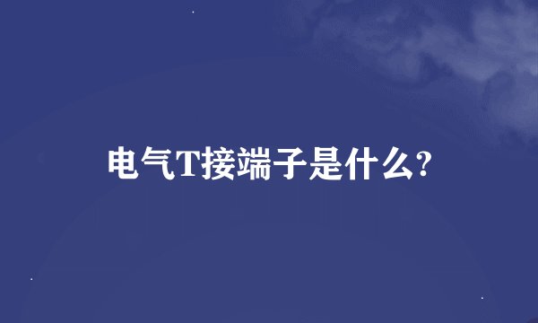 电气T接端子是什么?