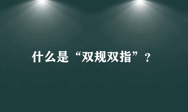 什么是“双规双指”？