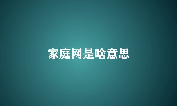 家庭网是啥意思