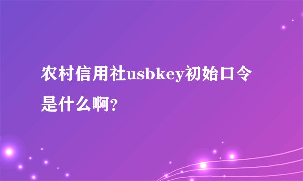 农村信用社usbkey初始口令是什么啊？