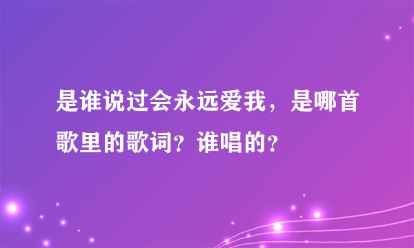 是谁说过会永远爱我，是哪首歌里的歌词？谁唱的？
