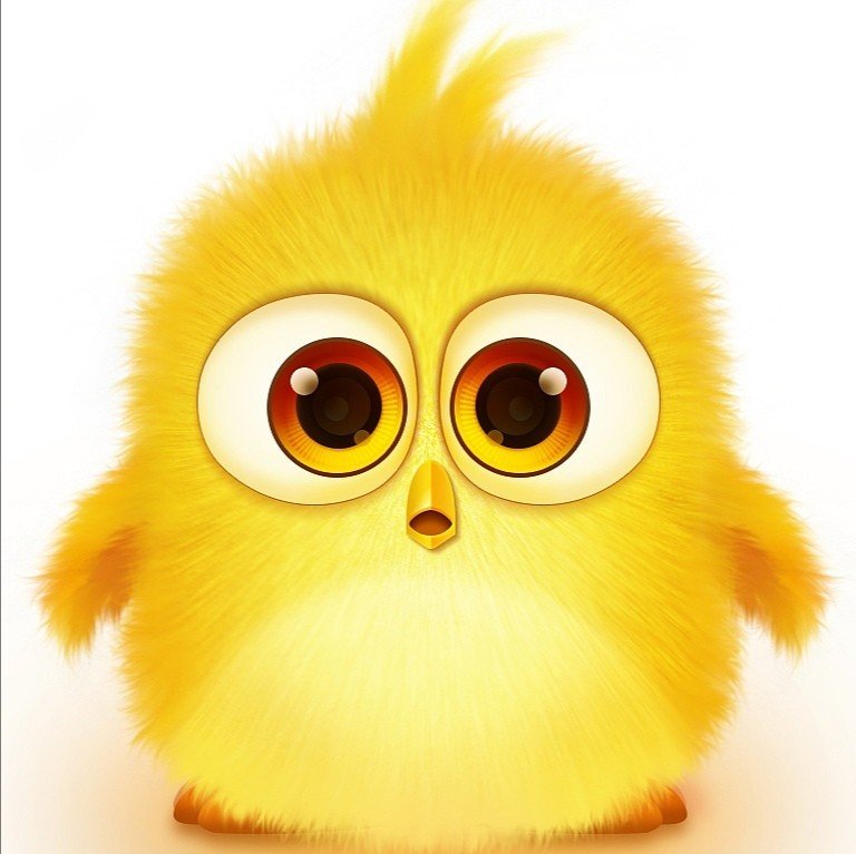 我虽然不同意，不代表我不接受什么意思？