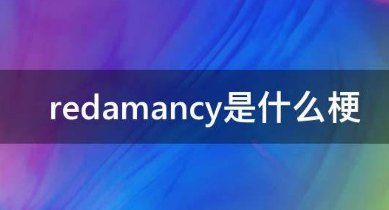 redamancy是什么意思？