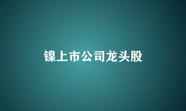 镍上市公司龙头股