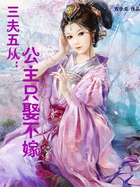 疯女三夫的作品简介