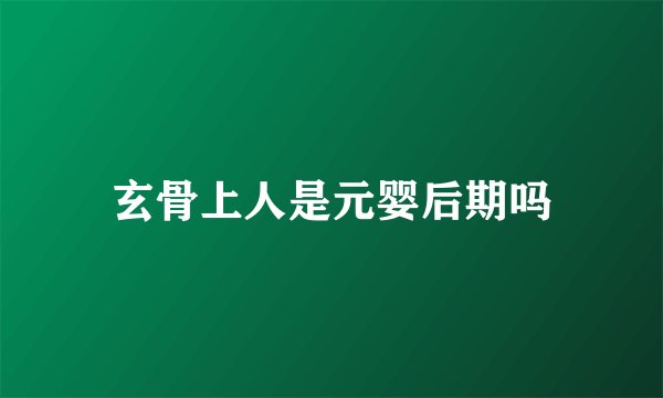 玄骨上人是元婴后期吗