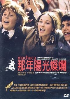 那年阳光灿烂的上映日期