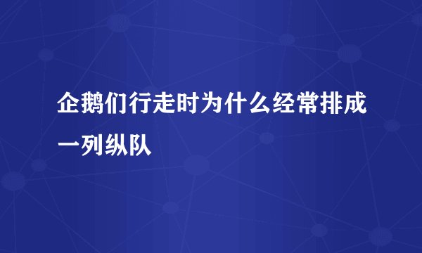 企鹅们行走时为什么经常排成一列纵队