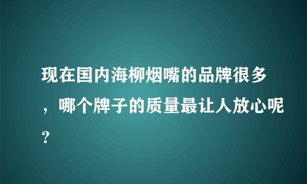 现在国内海柳烟嘴的品牌很多，哪个牌子的质量最让人放心呢？