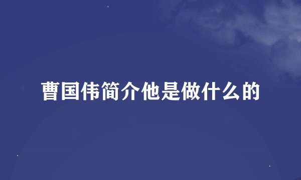 曹国伟简介他是做什么的