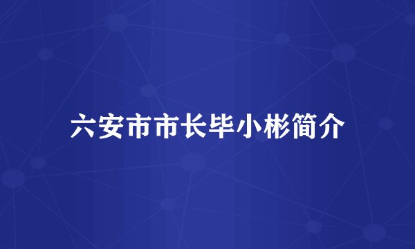 六安市市长毕小彬简介