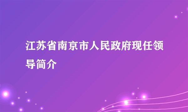 江苏省南京市人民政府现任领导简介