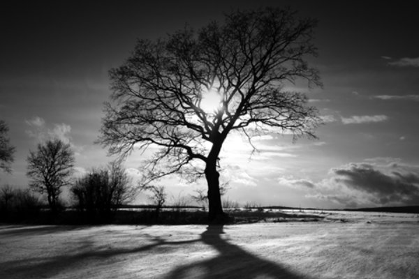 shades是什么意思