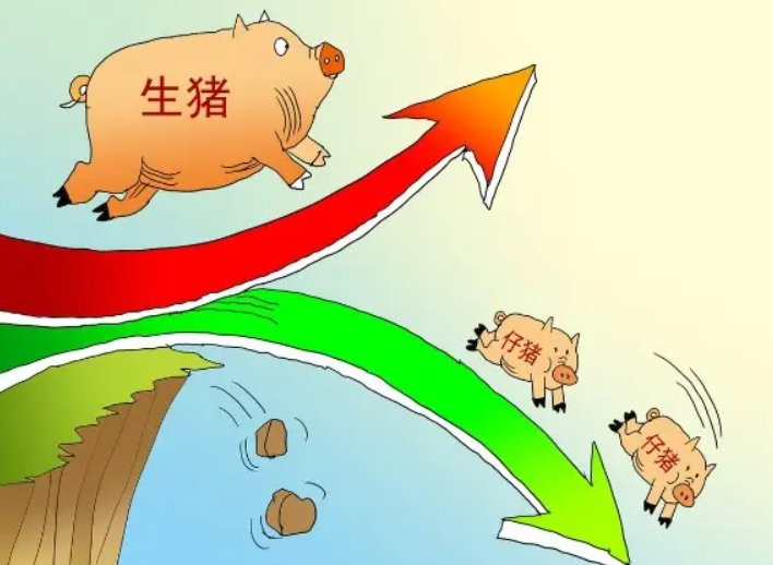 国家发改委两天三次出手稳猪价,猪肉价格持续上涨的原因是什么?