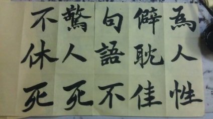 为人性僻耽佳句