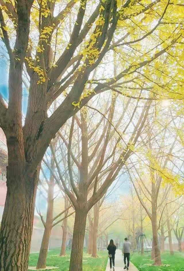 故宫五一现漫画般蓝天，漫画般的蓝天到底是何状态？