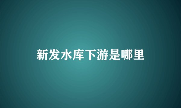 新发水库下游是哪里