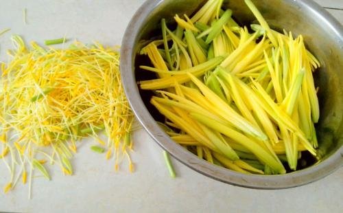 忘忧草是什么意思？