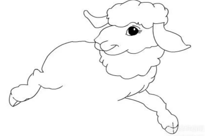 小羊怎么画简单又漂亮又可爱