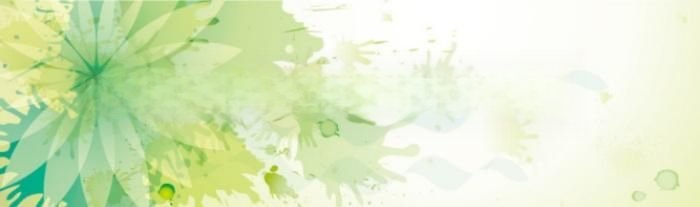 大杨树到齐齐哈尔(大杨树贴吧)