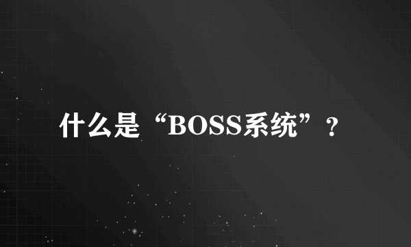 什么是“BOSS系统”？