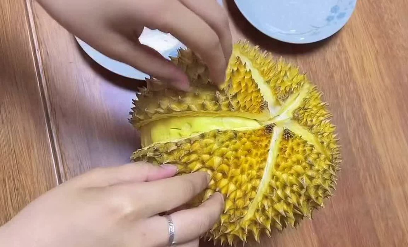 榴莲上的虫子长啥样