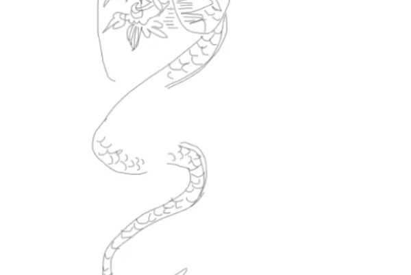 简单好看的龙怎么画