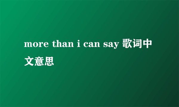 more than i can say 歌词中文意思