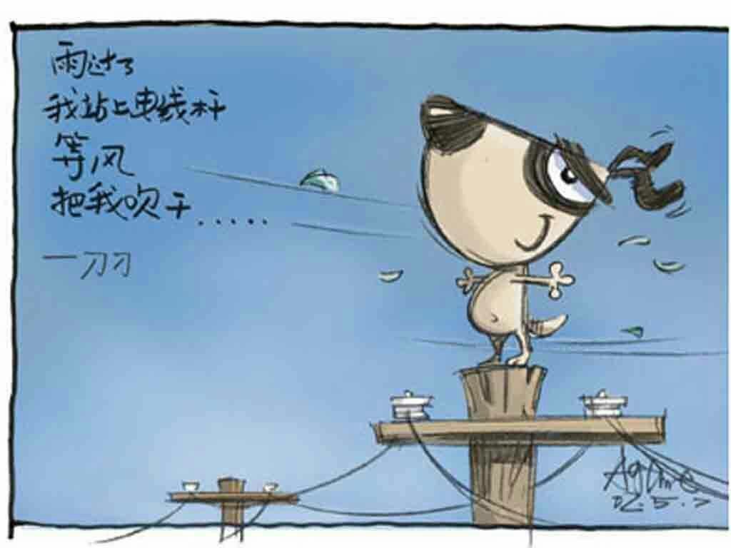 刀刀狗神哪部动漫中的角色