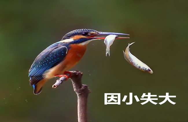 因小失大（猜一字）