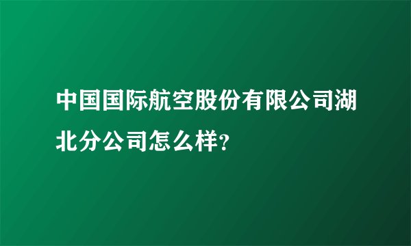 中国国际航空股份有限公司湖北分公司怎么样？