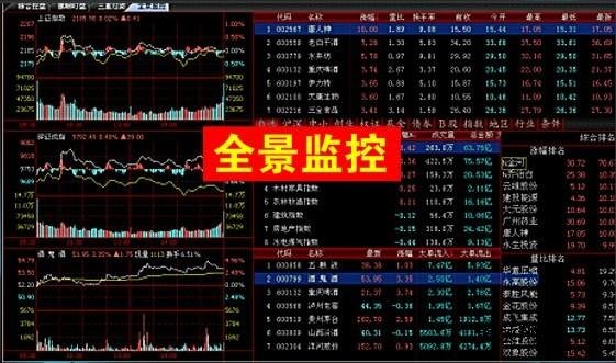 股票软件定做的司主要业务