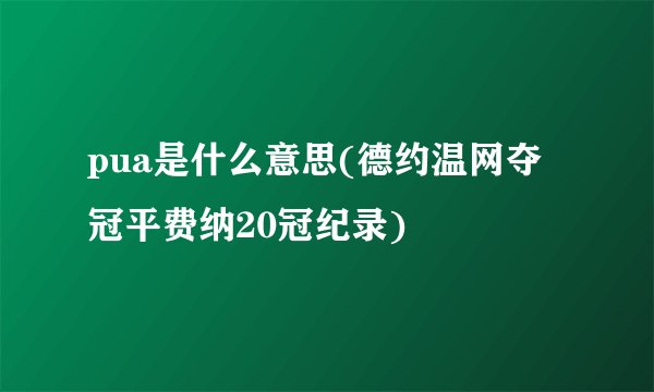 pua是什么意思(德约温网夺冠平费纳20冠纪录)