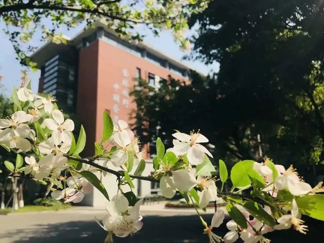 成都七中高中招生电话多少?